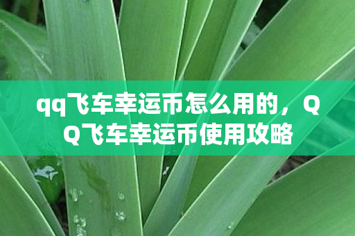 qq飞车幸运币怎么用的，QQ飞车幸运币使用攻略