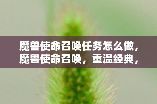 魔兽使命召唤任务怎么做，魔兽使命召唤，重温经典，挑战未来