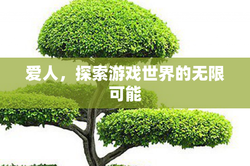 爱人，探索游戏世界的无限可能