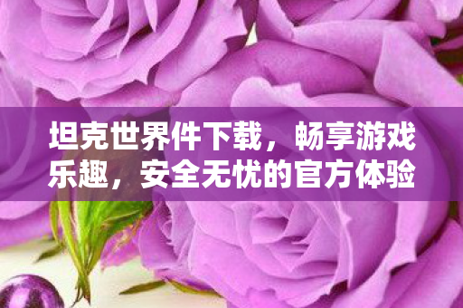 坦克世界件下载，畅享游戏乐趣，安全无忧的官方体验