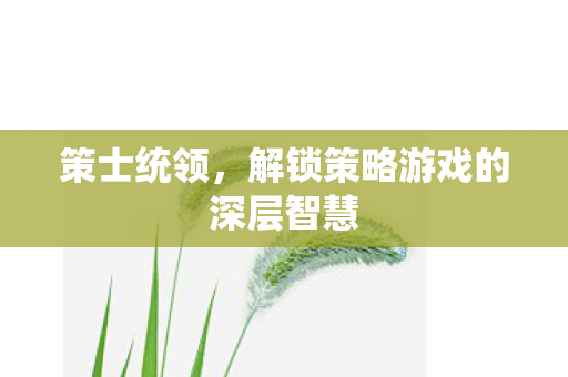 策士统领，解锁策略游戏的深层智慧