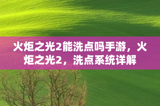 火炬之光2能洗点吗手游，火炬之光2，洗点系统详解