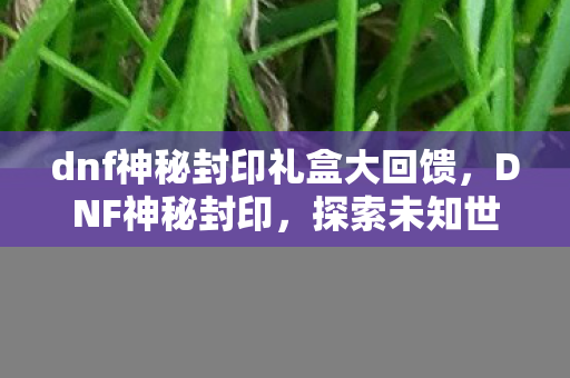 dnf神秘封印礼盒大回馈，DNF神秘封印，探索未知世界的奇幻之旅