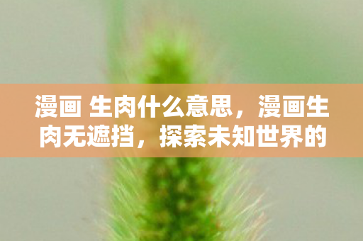 漫画 生肉什么意思，漫画生肉无遮挡，探索未知世界的另类视角