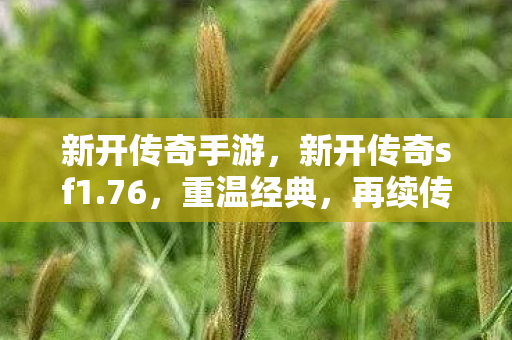 新开传奇手游，新开传奇sf1.76，重温经典，再续传奇