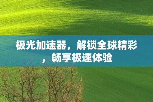 极光加速器，解锁全球精彩，畅享极速体验