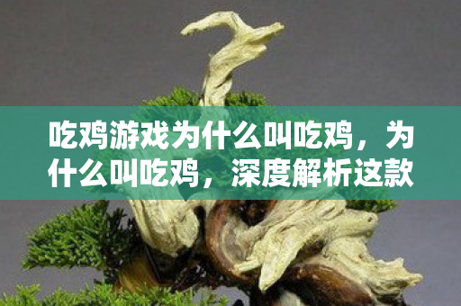 吃鸡游戏为什么叫吃鸡，为什么叫吃鸡，深度解析这款游戏的魅力与背后故事