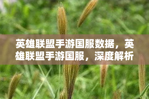 英雄联盟手游国服数据，英雄联盟手游国服，深度解析游戏特色与玩家体验