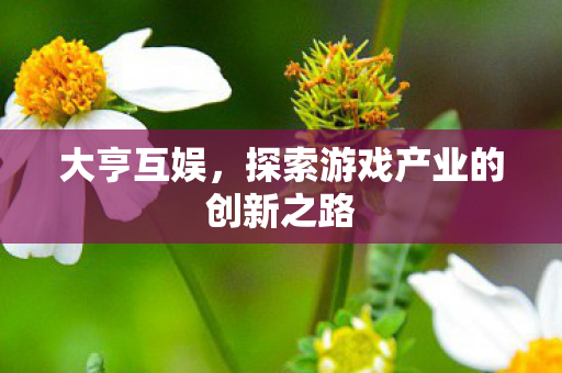 大亨互娱，探索游戏产业的创新之路