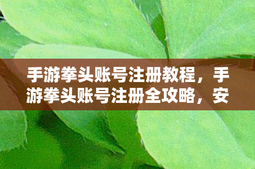 手游拳头账号注册教程，手游拳头账号注册全攻略，安全、便捷、高效