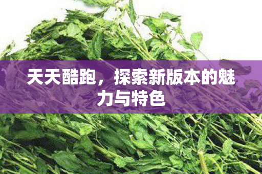 天天酷跑，探索新版本的魅力与特色