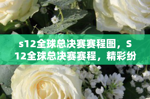 s12全球总决赛赛程图，S12全球总决赛赛程，精彩纷呈的电竞盛宴