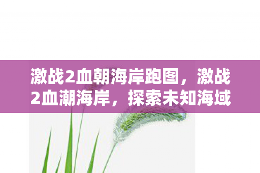 激战2血朝海岸跑图，激战2血潮海岸，探索未知海域的冒险之旅