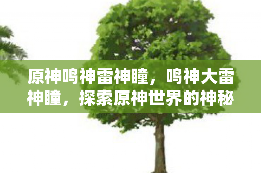 原神鸣神雷神瞳，鸣神大雷神瞳，探索原神世界的神秘力量