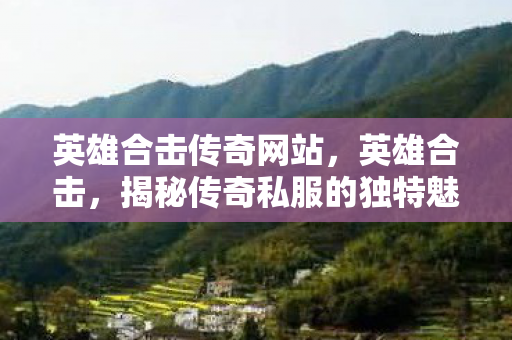 英雄合击传奇网站，英雄合击，揭秘传奇私服的独特魅力与玩家心声