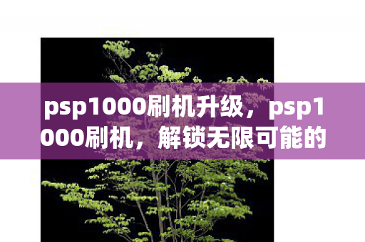 psp1000刷机升级，psp1000刷机，解锁无限可能的DIY之旅