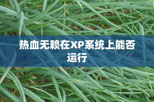 热血无赖在XP系统上能否运行
