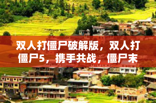 双人打僵尸破解版，双人打僵尸5，携手共战，僵尸末日中的生存挑战