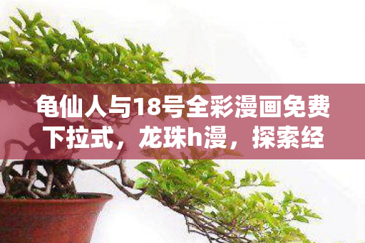 龟仙人与18号全彩漫画免费下拉式，龙珠h漫，探索经典与创新的奇妙融合