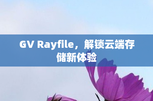 GV Rayfile，解锁云端存储新体验
