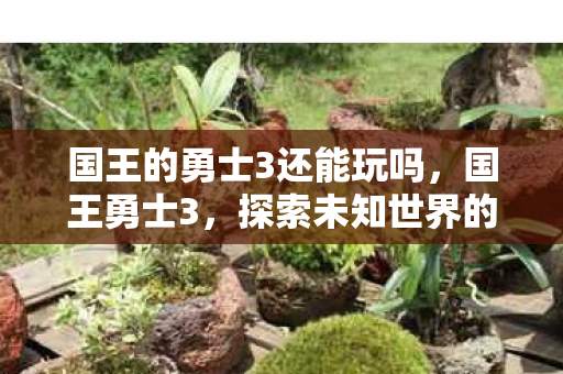国王的勇士3还能玩吗，国王勇士3，探索未知世界的奇幻之旅