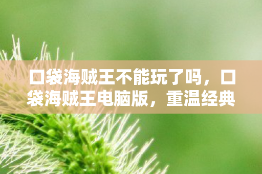 口袋海贼王不能玩了吗，口袋海贼王电脑版，重温经典，策略与冒险并存