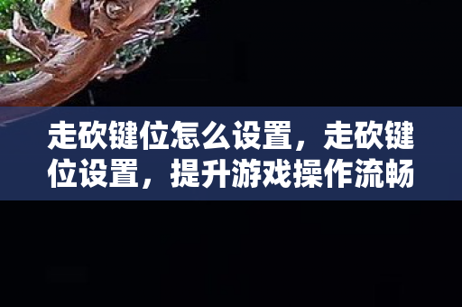 走砍键位怎么设置，走砍键位设置，提升游戏操作流畅度的关键