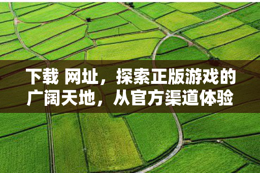 下载 网址，探索正版游戏的广阔天地，从官方渠道体验游戏的魅力