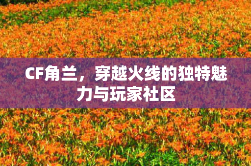 CF角兰，穿越火线的独特魅力与玩家社区
