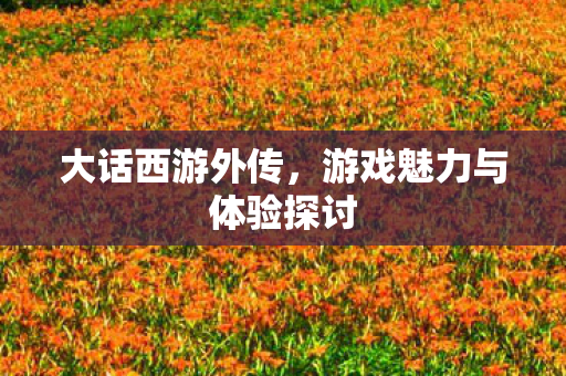 大话西游外传，游戏魅力与体验探讨