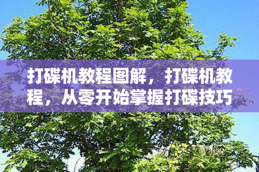 打碟机教程图解，打碟机教程，从零开始掌握打碟技巧