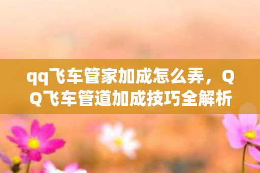 qq飞车管家加成怎么弄，QQ飞车管道加成技巧全解析