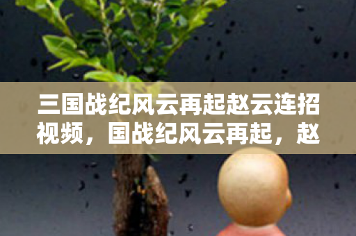 三国战纪风云再起赵云连招视频，国战纪风云再起，赵云连招的奥秘