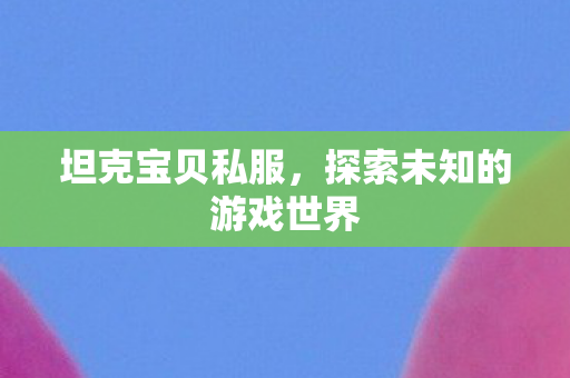 坦克宝贝私服，探索未知的游戏世界