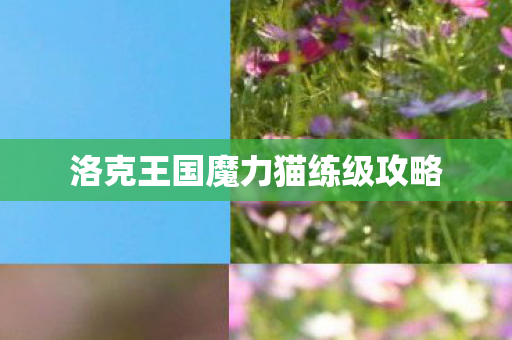 洛克王国魔力猫练级攻略 洛克王国魔力猫练级攻略