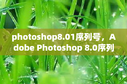 photoshop8.01序列号，Adobe Photoshop 8.0序列号，解锁创意无限