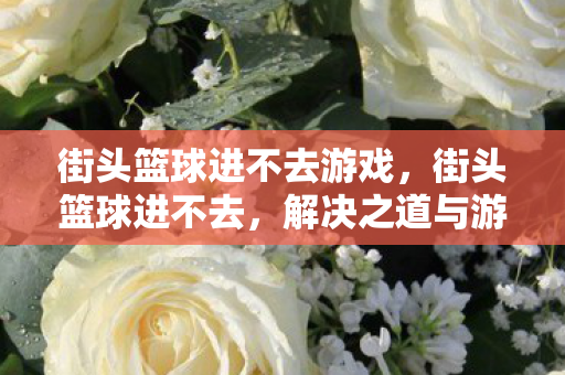街头篮球进不去游戏，街头篮球进不去，解决之道与游戏环境维护
