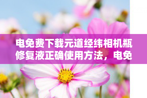 电免费下载元道经纬相机瓶修复液正确使用方法，电免费下载，探索数字资源获取的便捷与边界