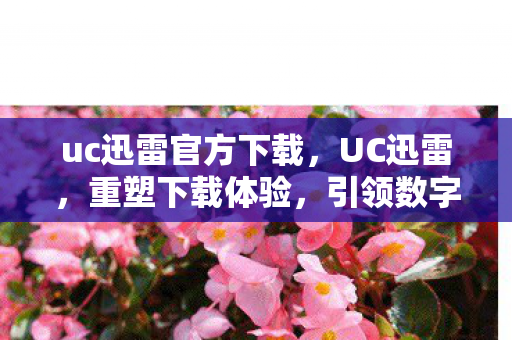 uc迅雷官方下载，UC迅雷，重塑下载体验，引领数字生活新风尚