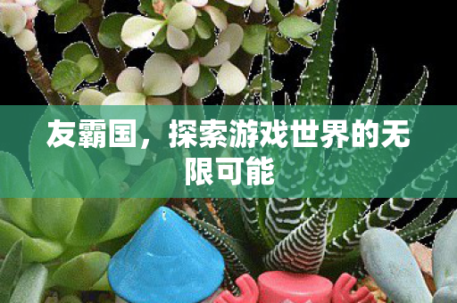友霸国，探索游戏世界的无限可能