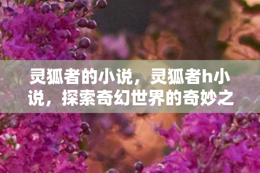灵狐者的小说，灵狐者h小说，探索奇幻世界的奇妙之旅