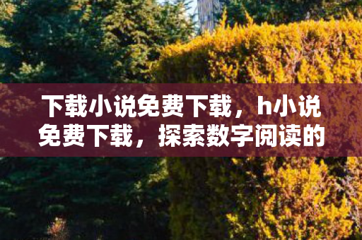 下载小说免费下载，h小说免费下载，探索数字阅读的无限可能