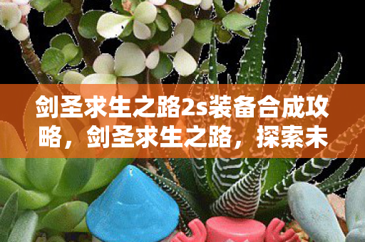 剑圣求生之路2s装备合成攻略，剑圣求生之路，探索未知，挑战极限