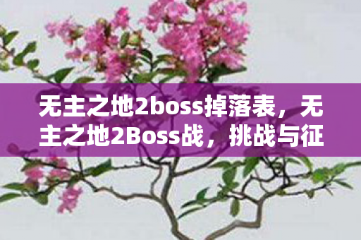 无主之地2boss掉落表，无主之地2Boss战，挑战与征服的极致体验
