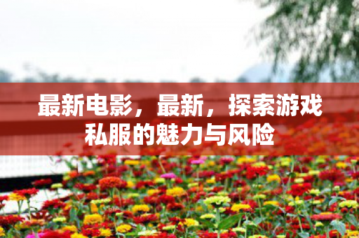 最新电影，最新，探索游戏私服的魅力与风险