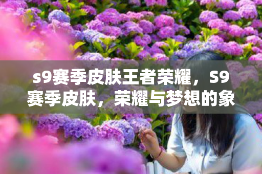 s9赛季皮肤王者荣耀，S9赛季皮肤，荣耀与梦想的象征