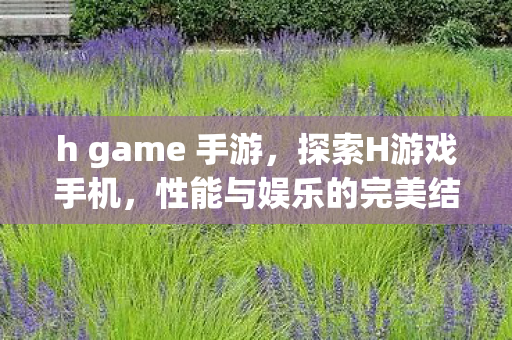 h game 手游，探索H游戏手机，性能与娱乐的完美结合