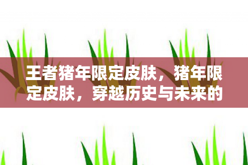 王者猪年限定皮肤，猪年限定皮肤，穿越历史与未来的时尚潮流