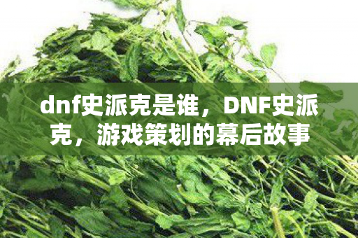 dnf史派克是谁，DNF史派克，游戏策划的幕后故事