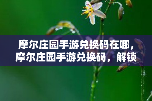 摩尔庄园手游兑换码在哪，摩尔庄园手游兑换码，解锁专属福利，畅游梦幻庄园